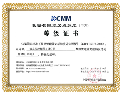 数据管理能力成熟度等级证书